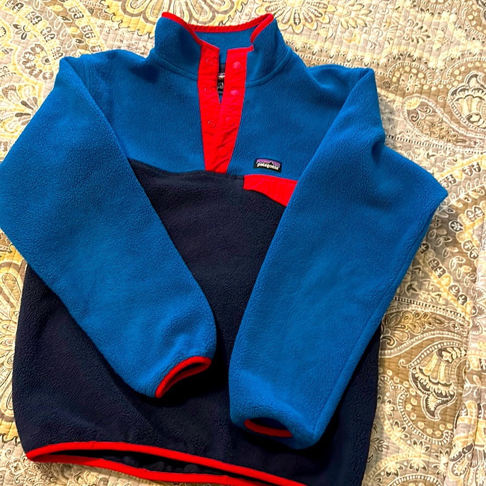 Patagonia Synchilla Snap